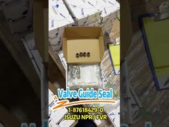 1-87618429-0 joint de guide de soupape 1876184290 adapté à ISUZU 4HK1 6HK1 6UZ1