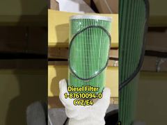 8-98092481-1 élément de filtre à carburant 1-87610094-0 8980924811 1876100940 approprié à ISUZU 4HK1